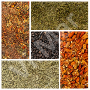 ERBE AROMATICHE E SPEZIE