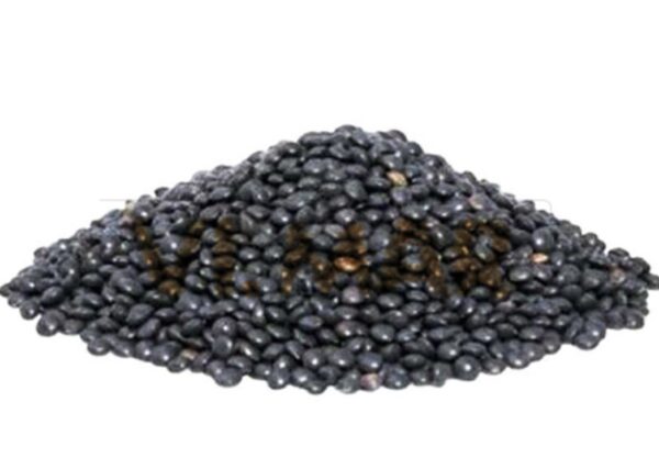 LENTICCHIA NERA