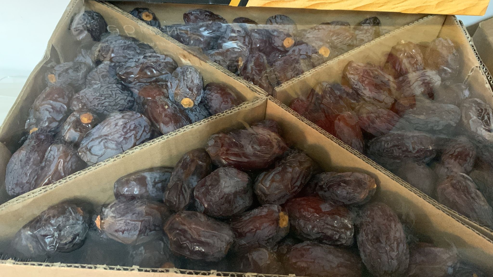 e688b25b 5eb3 4af6 b02d 37ff1cf6dc46 e688b25b 5eb3 4af6 b02d 37ff1cf6dc46