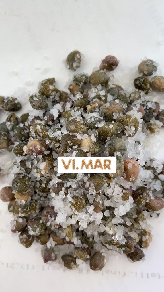 CAPPERO LOGO CAPPERO LOGO