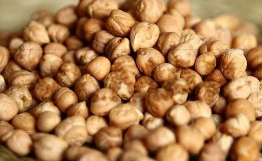 CECI GARGANO CECI GARGANO