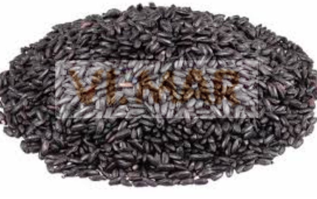 RISO VENERE RISO VENERE