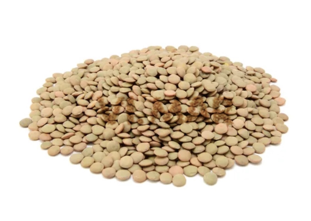 LENTICCHIA PICCOLA LENTICCHIA PICCOLA