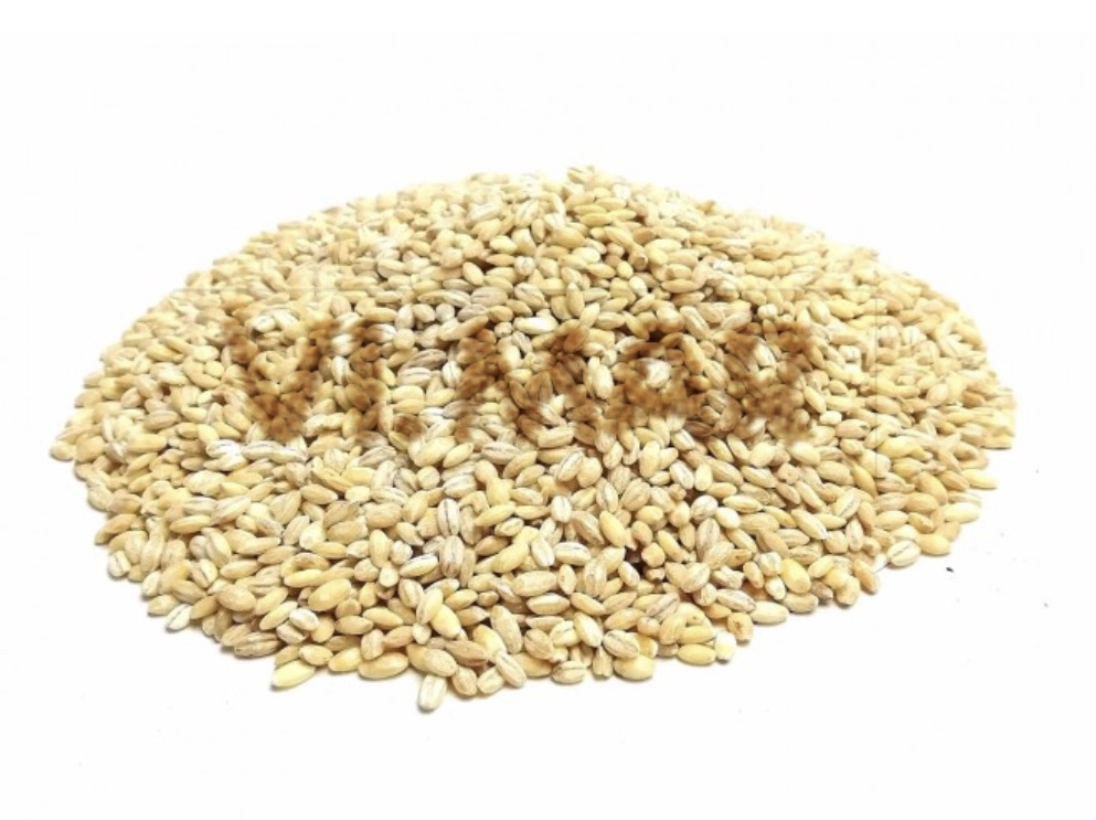 ORZO PERLATO ORZO PERLATO