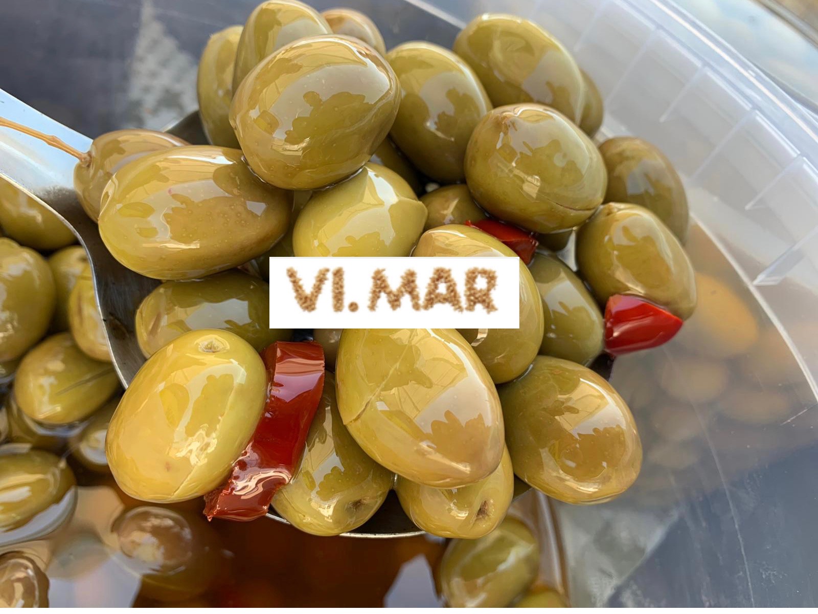 SCHIACCIATE LOGO SCHIACCIATE LOGO