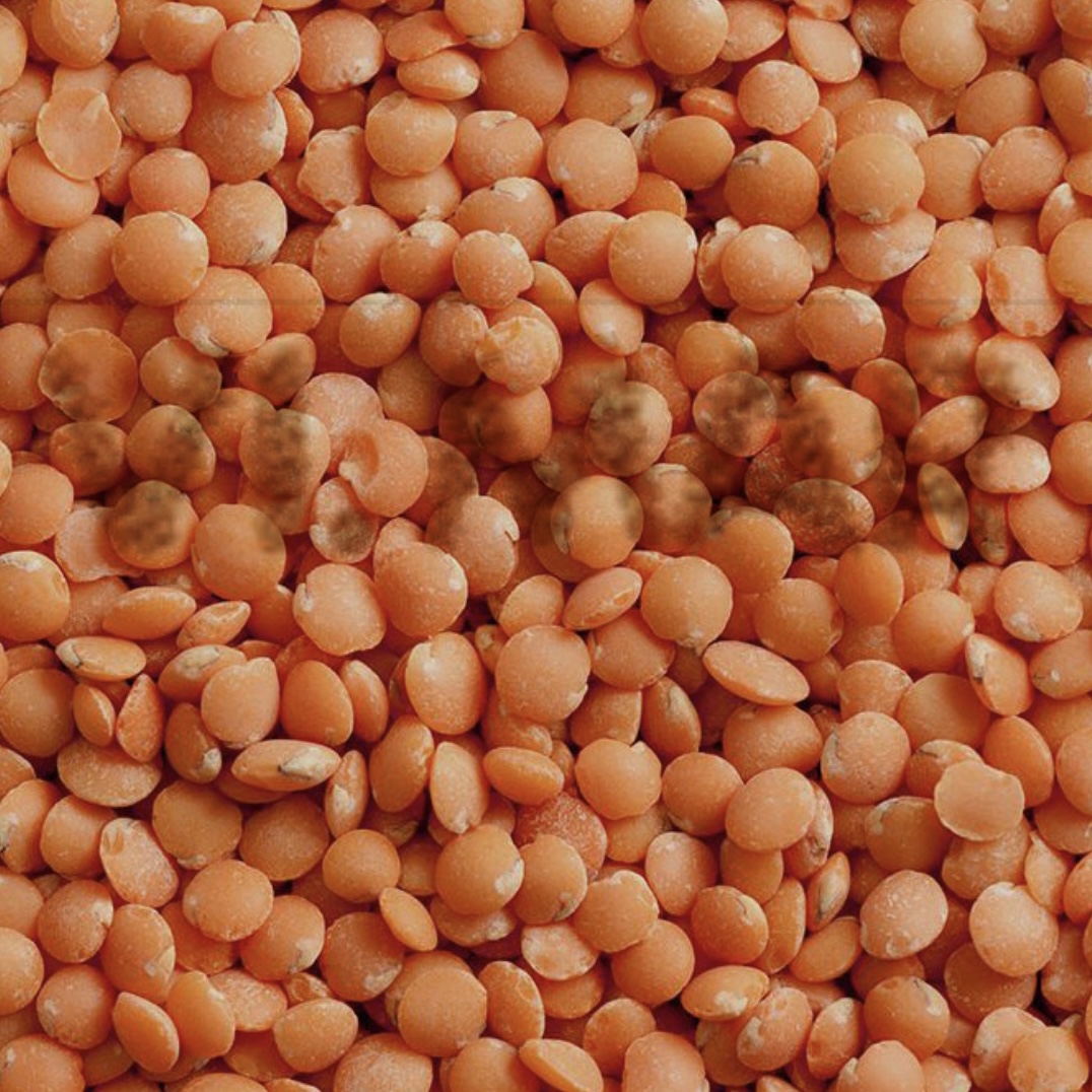 LENTICCHIE DECORTICATE LENTICCHIE DECORTICATE