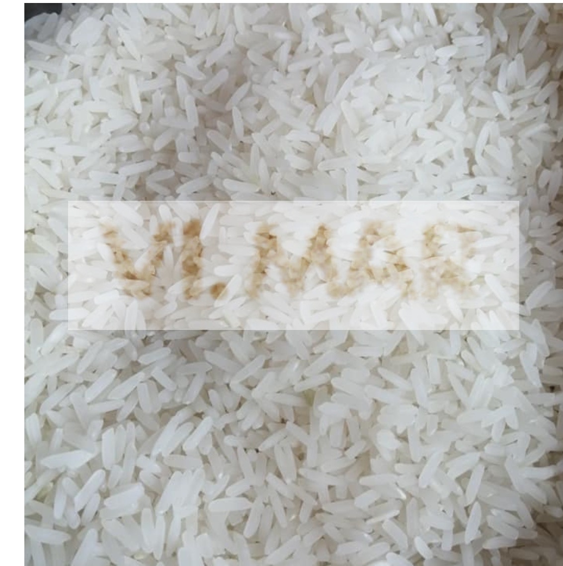 RISO BIANCO RISO BIANCO