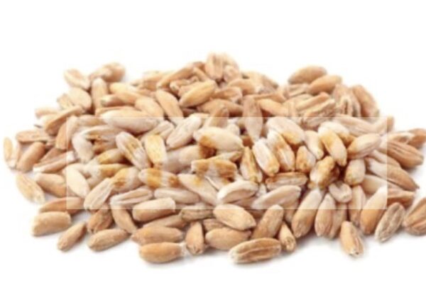 FARRO