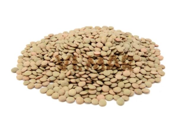 LENTICCHIA PICCOLA