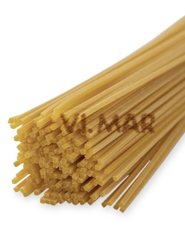 SPAGHETTI LOGO