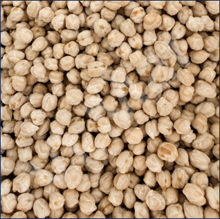 CeciGrossi