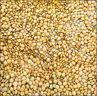 LenticchieGrosse