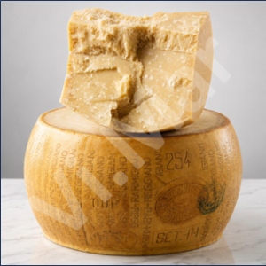 ParmigianoReggiano48Mesi