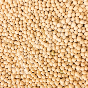 PiselliGialli